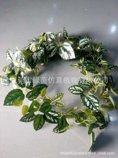 仿真植物墙配件 爬山虎万年青 葡萄藤 仿真植物墙 水果藤条厂家